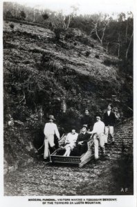 Madeira Funchal Visitors Toboggan Descent Mountain Spain RPC Postcard