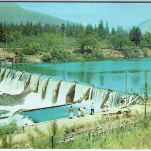 c1950s Rouge River Valley OR Savage Rapids Dam Pacific Coast Highway Chrome A301