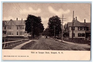 c1905's View On Sunapee Street Trees Scene Newport NH Unposted Carriage Postcard