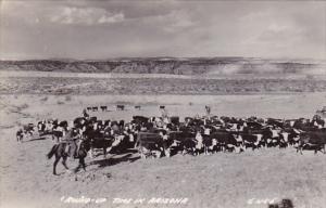 Round Up Time In Arizona Real Photo 1951