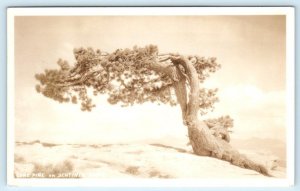 RPPC YOSEMITE NATIONAL PARK, CA ~ Lone Pine SENTINEL DOME 1934  Postcard