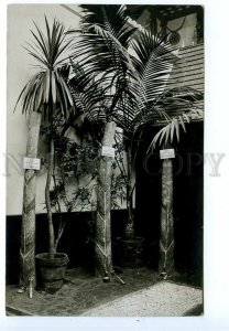 499148 UK London W.C High Holtorn exhibition Vintage photo postcard