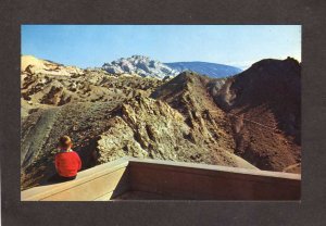UT Dinosaur National Monument Split Mtn Fossils Bones nr Vernal Utah Postcard