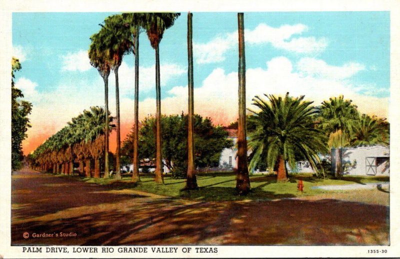 Texas Lower Rio Grande Valley Palm Drive Curteich