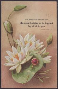 Birthday,Water Lily Postcard
