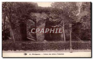 Old Postcard Perigueux Ruins of Roman arenas