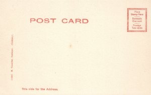 FLEMINGTON NJ MINE BROOK ANTIQUE POSTCARD