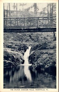 View of Footbridge Over Sylvan Cascade Falls, Henryville PA c1940 Postcard T45