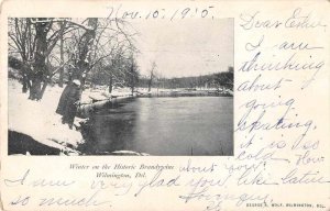 Wilmington Delaware Winter on the Brandywine Vintage Postcard JH230277