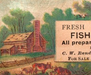 1880s C.W. Randall Fish Cakes P84