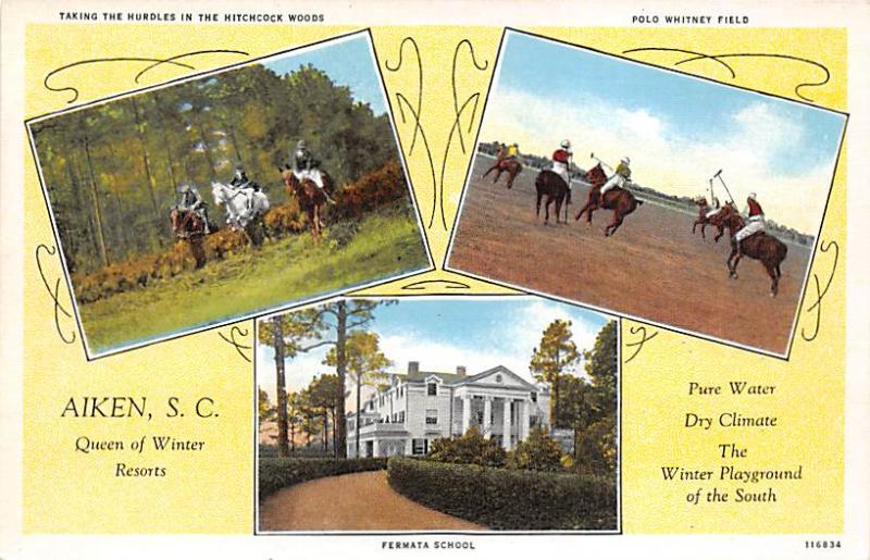 Fermata School, Polo Whitney Field Polo Postcard Aiken, South Carolina, SC, U...