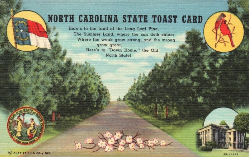 Vintage Postcard 1930s North Carolina Toast Card Tar Heel State Dogwood Cardinal 