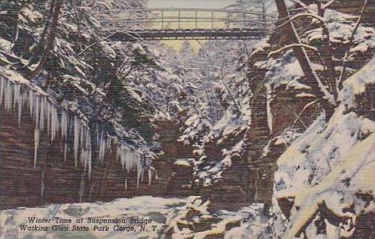 New York Watkins Glen State Park Gorge Winter Time At Suspension Bridge