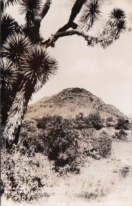 Mexico Teotihuacan Pyramid Of The Moon Real Photo