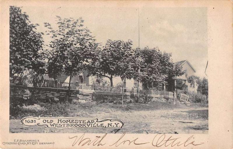 Westbrookville New York birds eye view old homestead antique pc Z11547