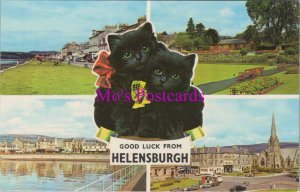 Scotland Postcard - Good Luck From Helensburgh. Black Cats  RS37929