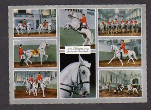 Austria Spanish Riding School Horses Vienna Wien Postcard Carte Postale PC