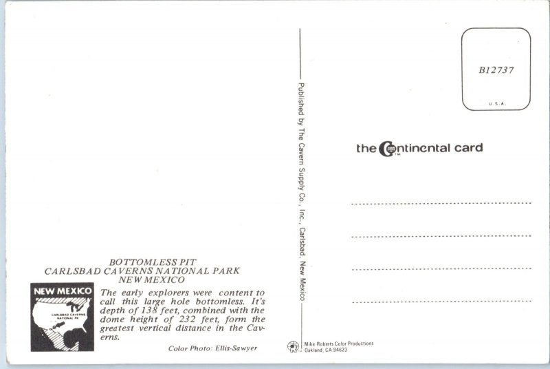 Bottomless Pit Carlsbad Caverns National Park New Mexico Postcard