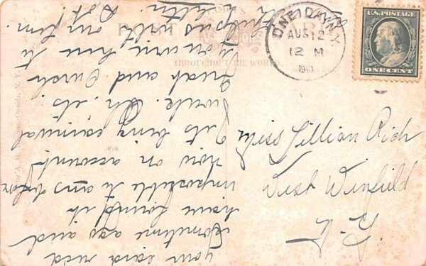 Elm Trees Oneida, New York Postcard