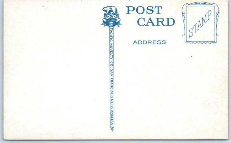 SAN FRANCISCO BAY AREA, California CA  ~ TOPOGRAPHICAL MAP ca 1910s   Postcard