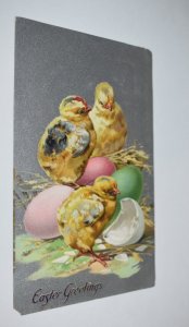 Easter Greetings Chicks and Eggs with Silver Background Postcard Raphael Tuck