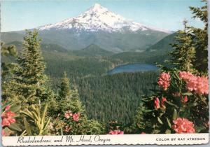 Rhododendrons, Mt. Hood and Lost Lake Oregon