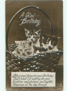 rppc 1932 KITTEN CATS SITTING IN WICKER BASKET AC8190