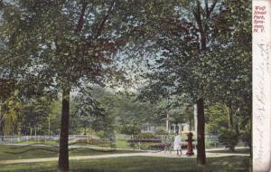 Wolf Street Park - Syracuse NY, New York - pm 1907 - UDB