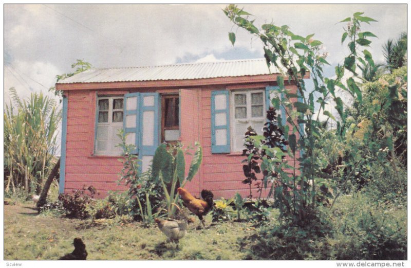 ST. JOHNS, Antigua, 1940-1960's; Gaily Painted Antigua House