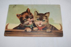 Two Kittens wearing Ribbon Bows Postcard Made in Germany 249