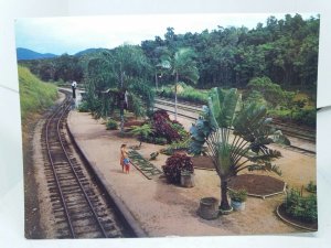 Kuranda Railway Station North Queensland Australia Vintage Postcard