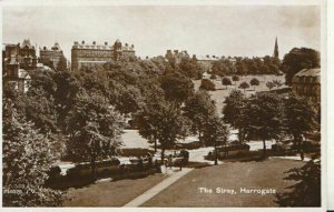 Yorkshire Postcard - The Stray - Harrogate - Real Photograph - TZ11146