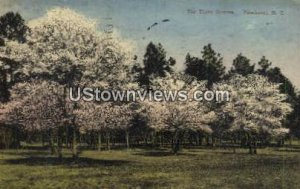 Three Graces - Pinehurst, North Carolina NC  