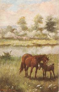 Harry Payne. British Pastures. Horses Tuck Oilette Postcard #9009