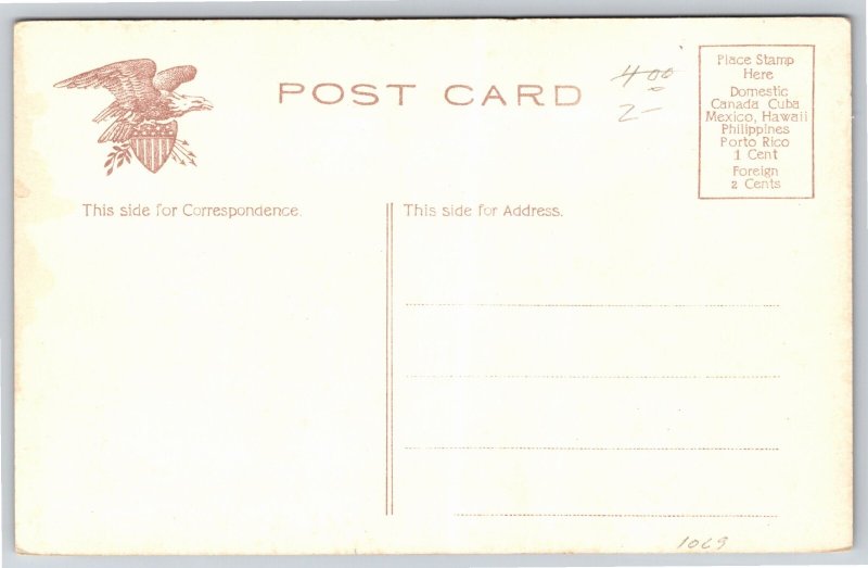 Dover Delaware~State House @ Night~State Seal~c1910 Postcard