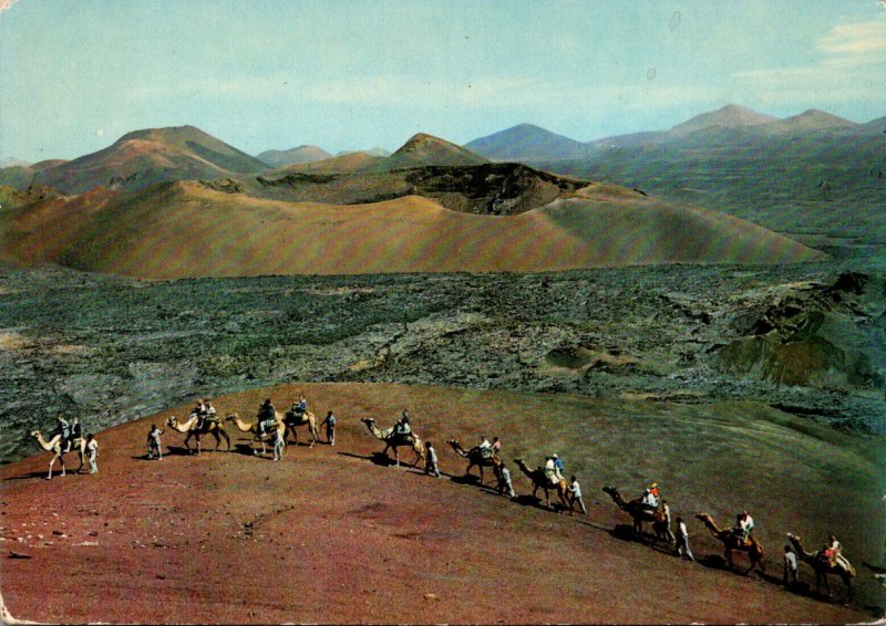 Spain Canary Islands Lanzaarote Caravan Camels