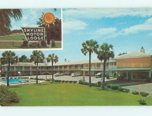 Unused Pre-1980 OLD CARS & SKYLINE MOTEL Tallahassee Florida FL u2531@