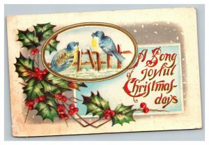 Vintage 1910 Christmas Postcard - Cute Bluebirds Singing Mistletoe Holly Berries