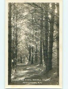 Pre-1945 rppc PATH IN PINE TREES AT MCDOWELL COLONY Peterborough NH t2810