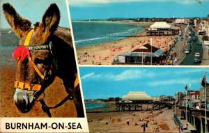 England Burnham On Sea Multi View Beach Scenes and Donkey