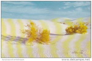 New Mexico White Sands National Monument