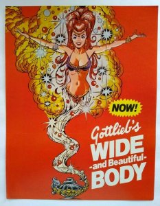 Genie Pinball Machine FLYER Original Gottlieb 1979 Arabian Magic Sexy Women Art