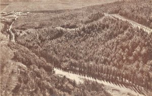 Lot178 palestine balfour forest at ginegar in the plain of jezreel palestina