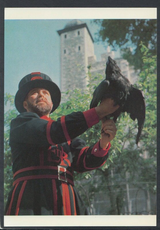 London Postcard - Tower of London, The Ravenmaster With a Tower Raven  T8625