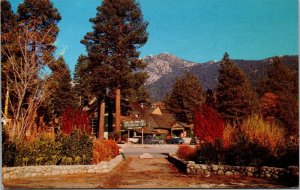 Vtg California CA Idyllwild Inn Autumn Colors San Jacinto Mountains Postcard