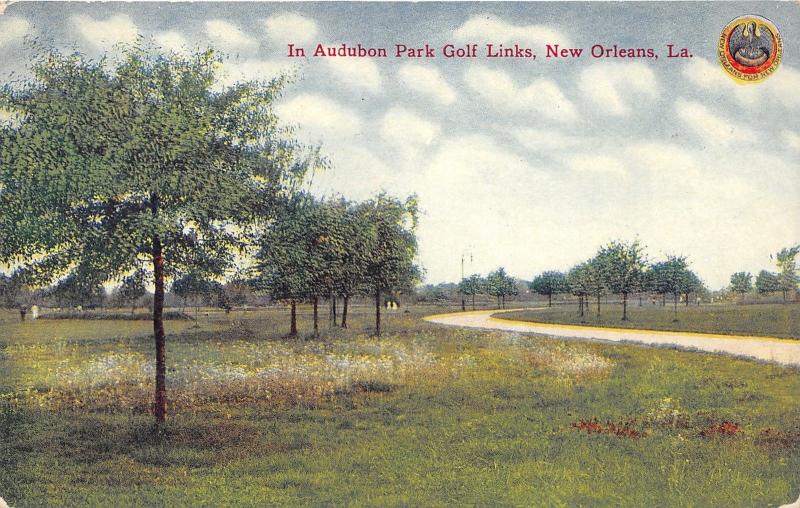 New Orleans Louisiana~Audubon Park Golf Links~Trees Along Road~c1910 Postcard