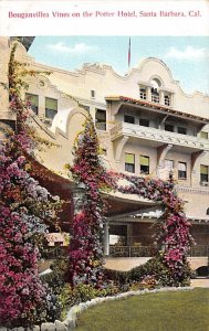 Bouganvillea Vines on the Potter Hotel Santa Barbara California  