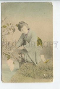 460748 Japan girl geisha in a kimono with a hairdo takes care of a tree tinted