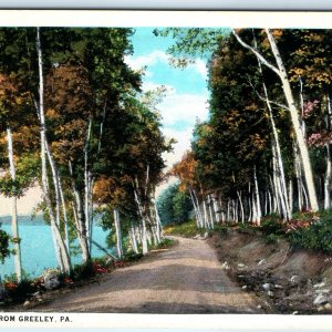 c1930s Greeley, PA Greetings from Riverside Creek Trail Road Scene Unposted A274