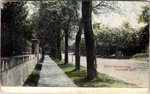 Postcard ROAD SCENE Waukegan Illinois IL AK6223